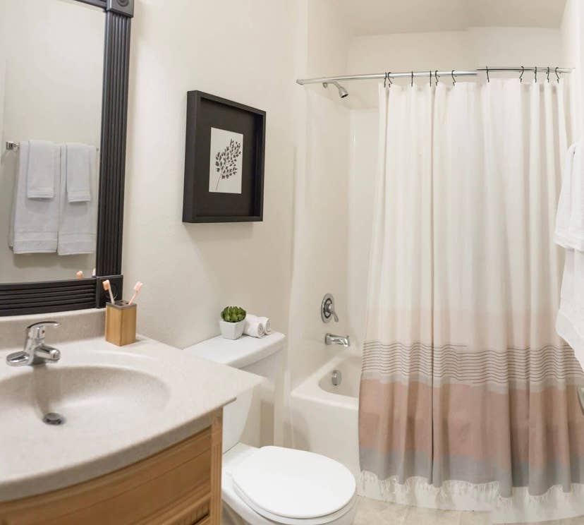 Roommate needed