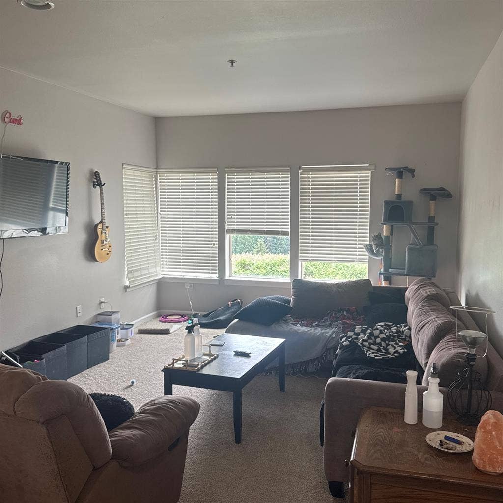 Looking for roommate