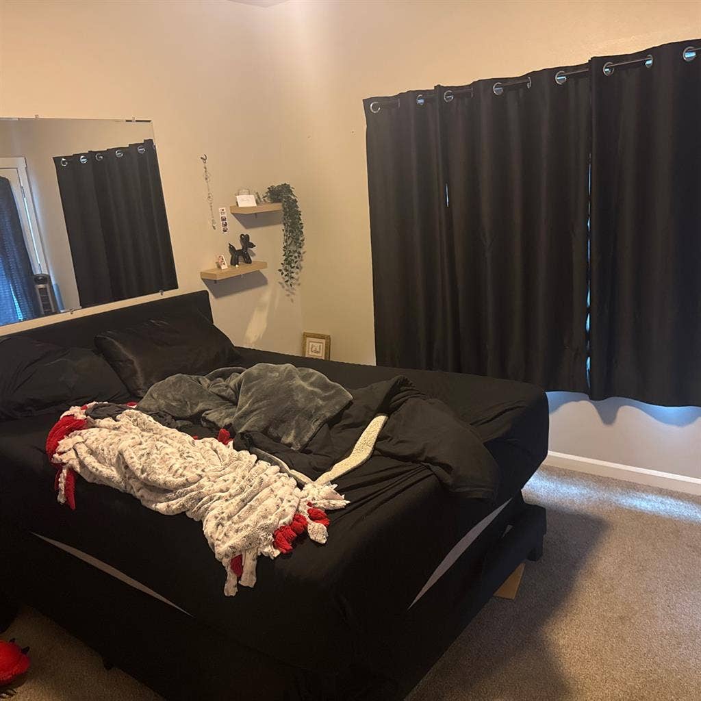 Looking for roommate