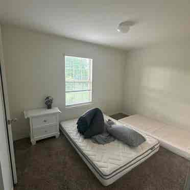 Room with clean private bath room.