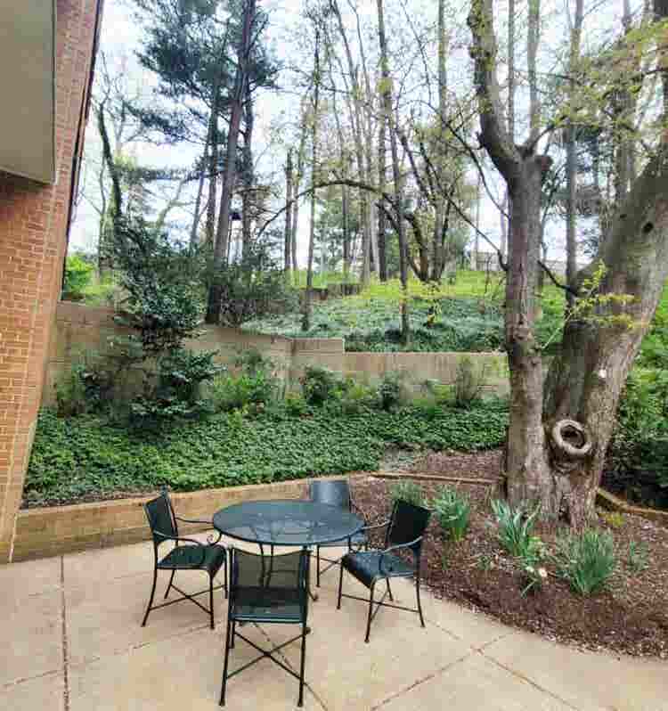 EX-LARGE STUDIO in Beautiful TOWERS