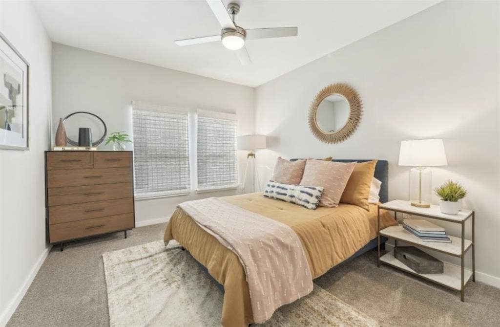 looking for a roommate