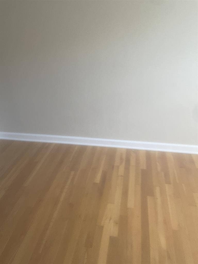 Roommates wanted