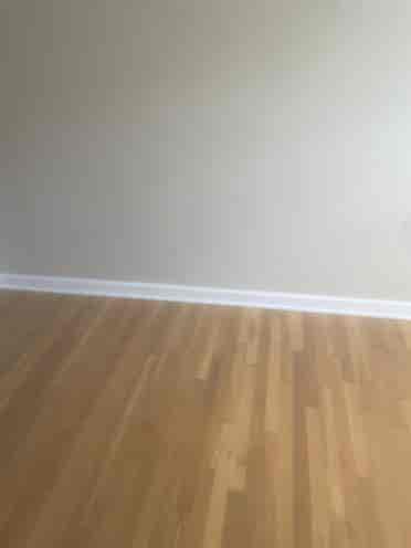 Roommates wanted
