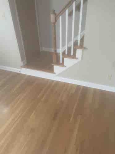 Roommates wanted
