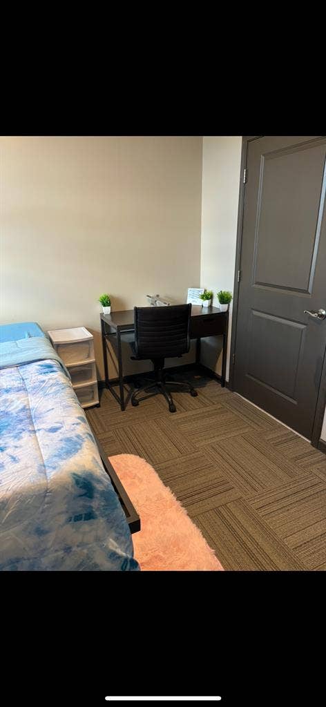 TWO MONTHS SUBLET AVAILABLE
