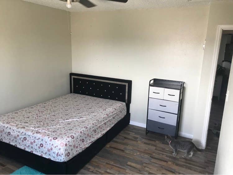 Spacious room in Pueblo west