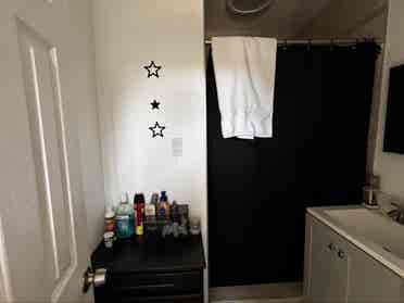 Roommate needed