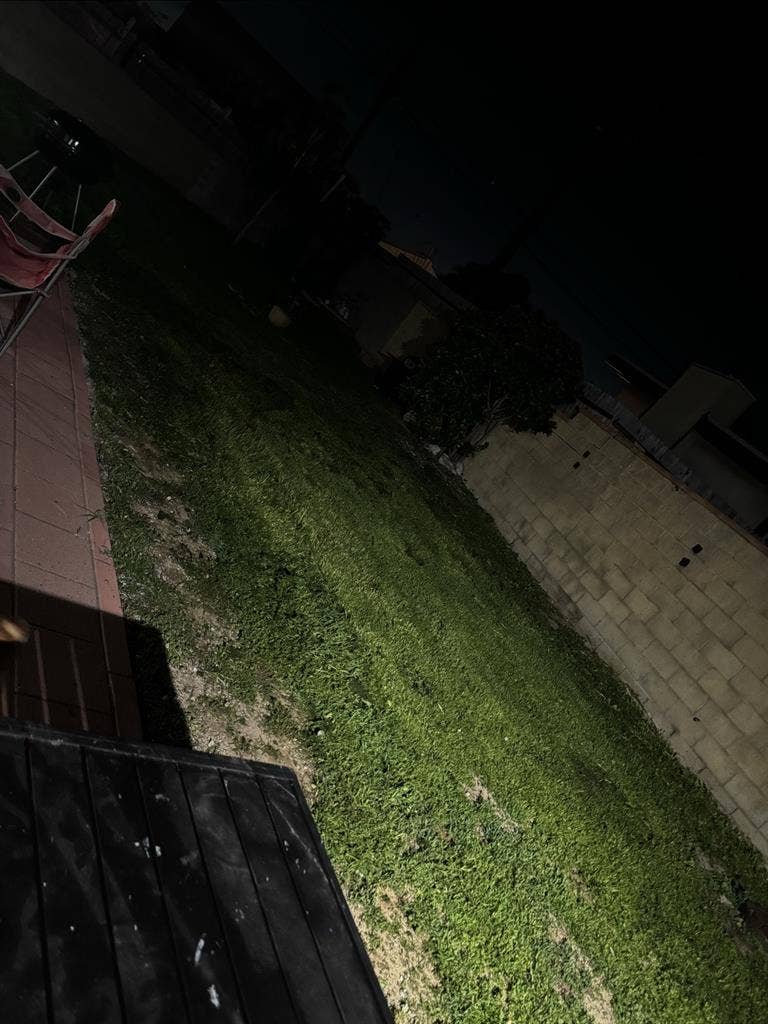 Roommate needed