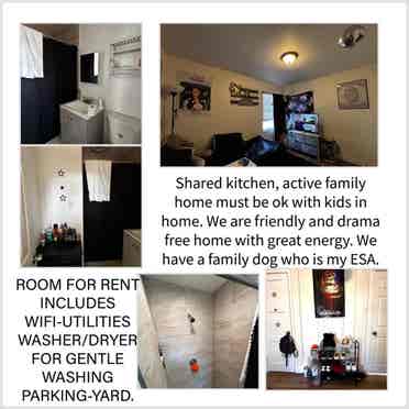 Roommate needed