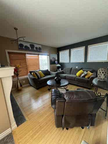 Looking for a Roomate!