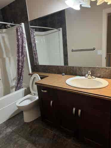 Looking for a Roomate!