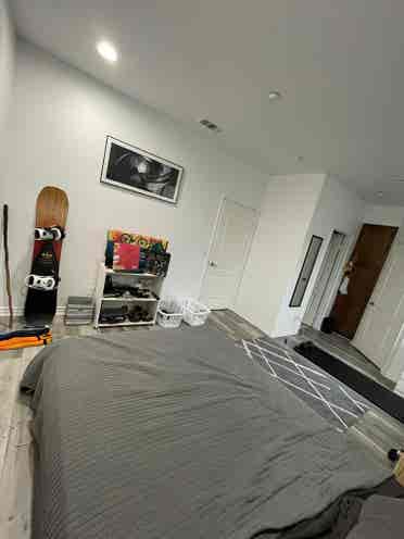 Roommate Wanted - Master Bedroom