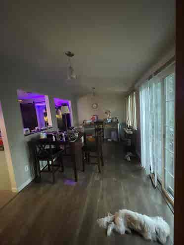 Looking for sublease for June !