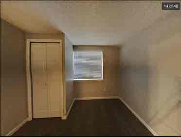ENTIRE BASEMENT for Rent!!