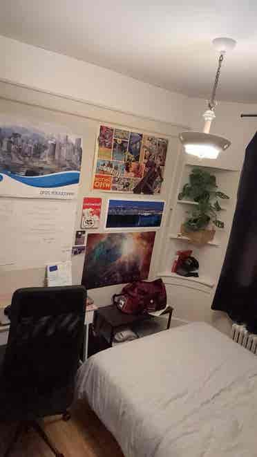 Looking for a roommate