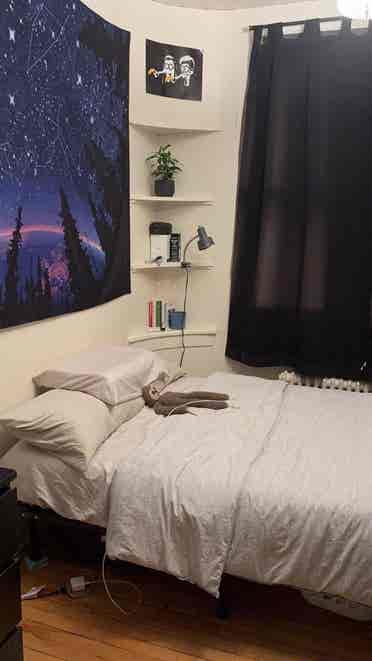 Looking for a roommate