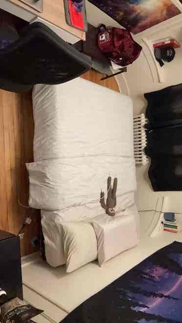 Looking for a roommate