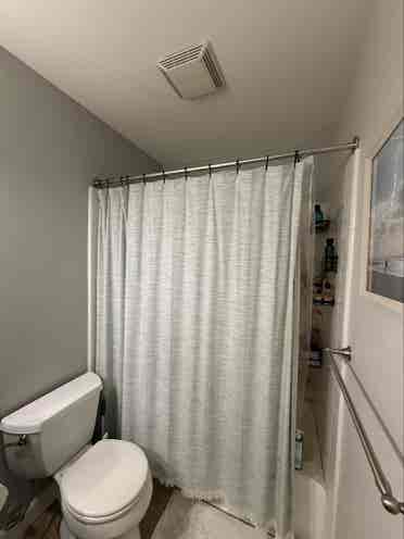 Need a roomate
