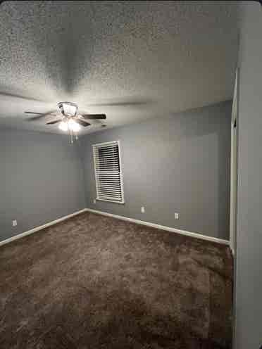 Two nice rooms for rent