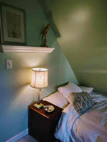 Victorian bright Home to Share