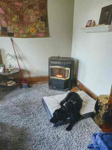 Victorian bright Home to Share
