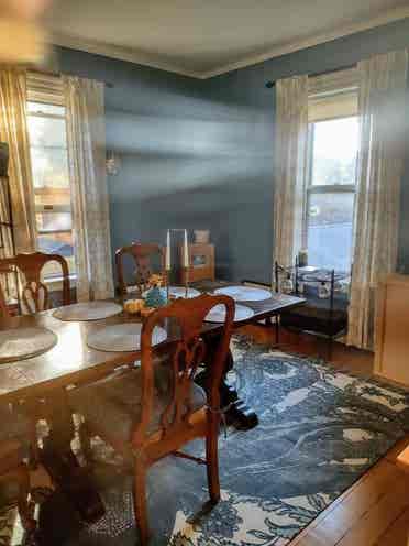 Victorian bright Home to Share