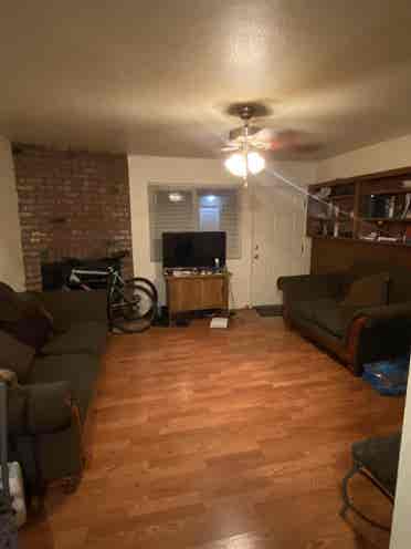 Looking for a roommate!