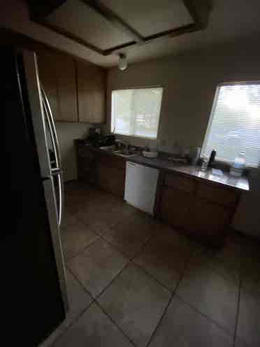 Looking for a roommate!