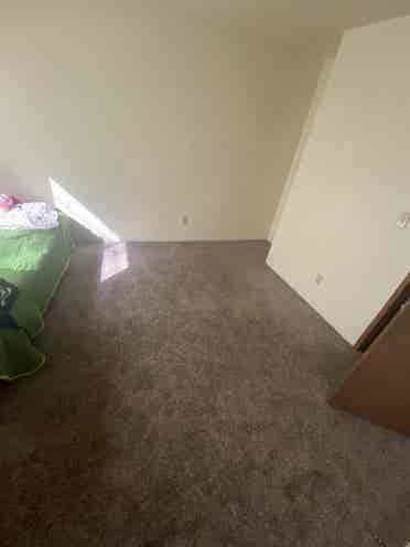 Looking for a roommate!
