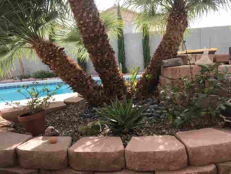 Room available in Centennial Hills