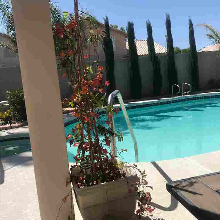 Room available in Centennial Hills