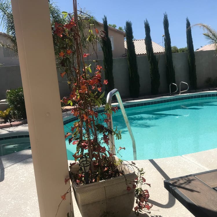 Room available in Centennial Hills