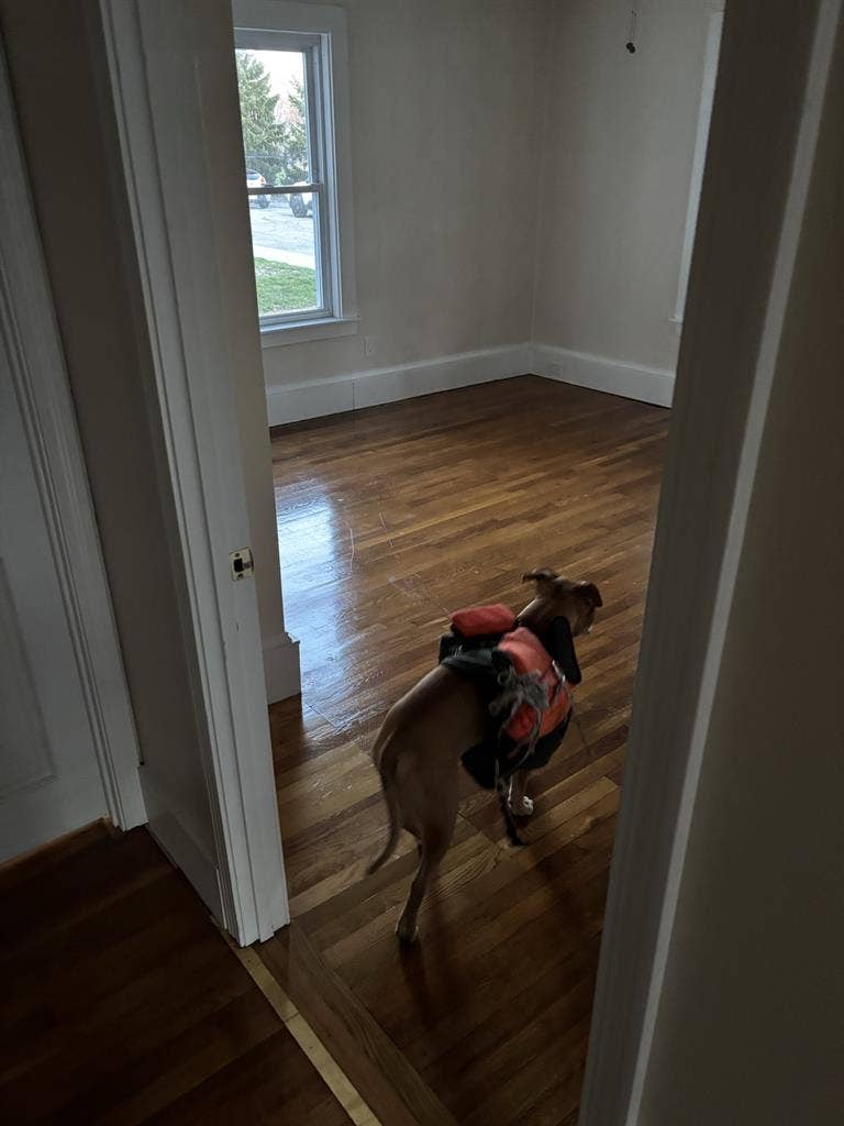 Room for rent