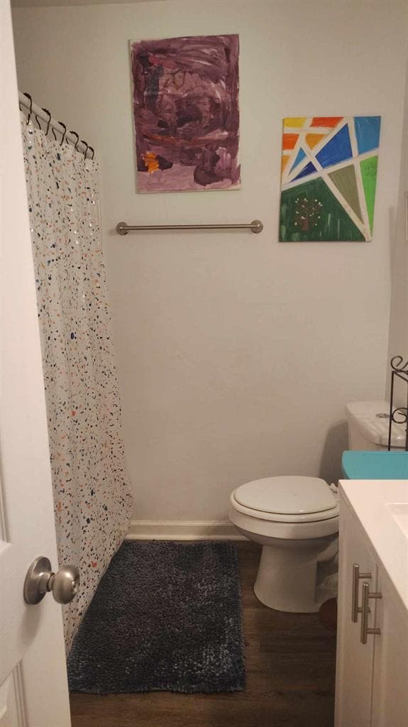 Ladies! Awesome Roommate Spot Open!