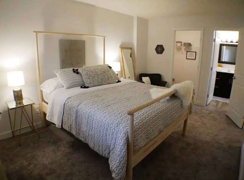 Looking for a roommate