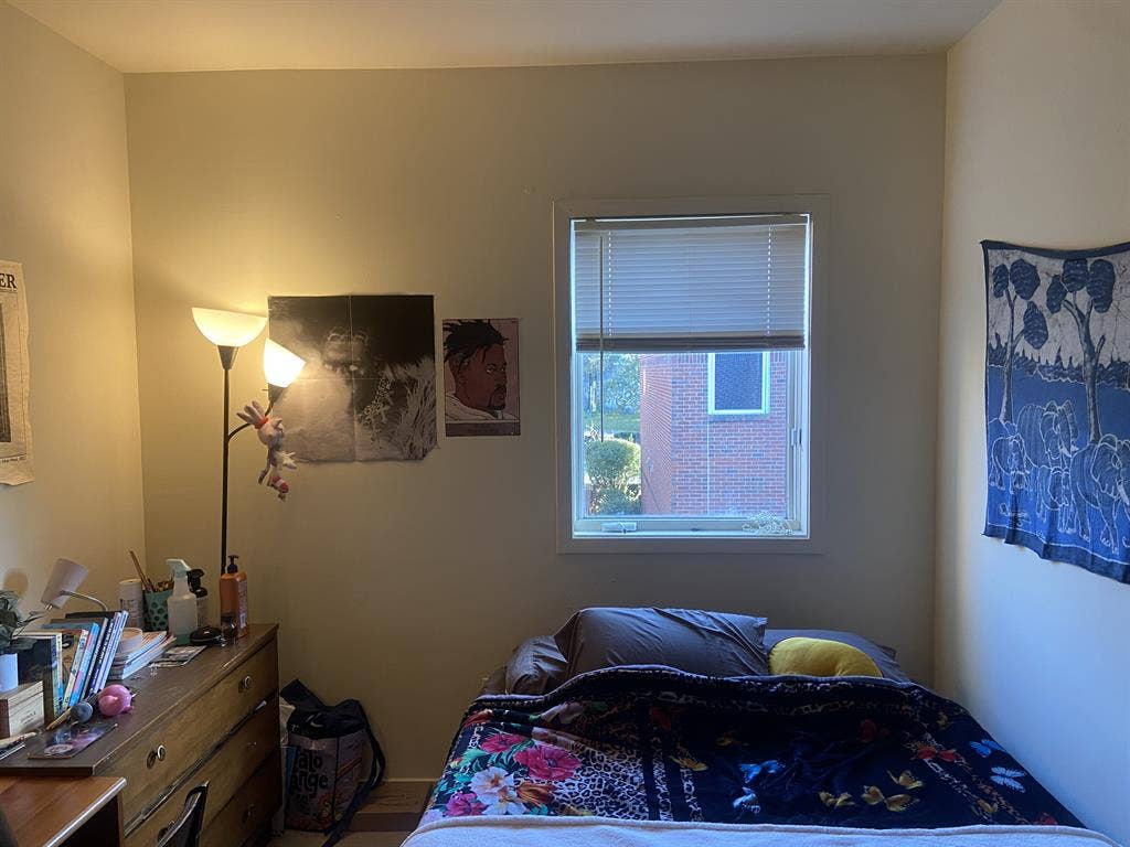 private room + bathroom, $/month