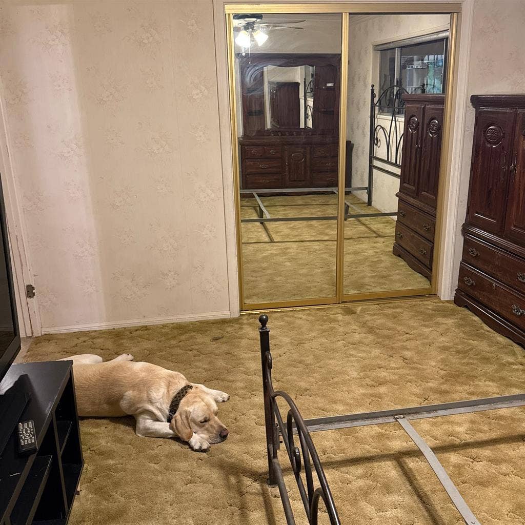 Spare bedroom $ per month rent.