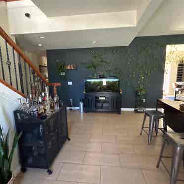 Clean, safe and chill house