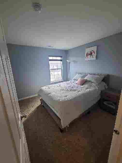 Seeking a roommate