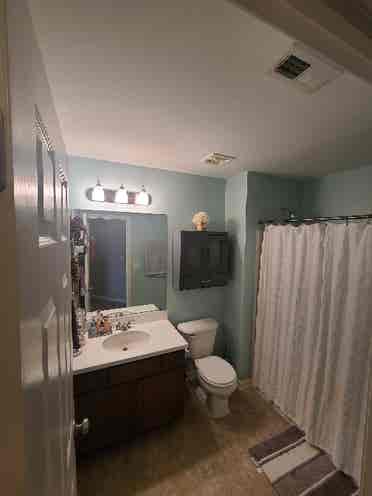 Seeking a roommate