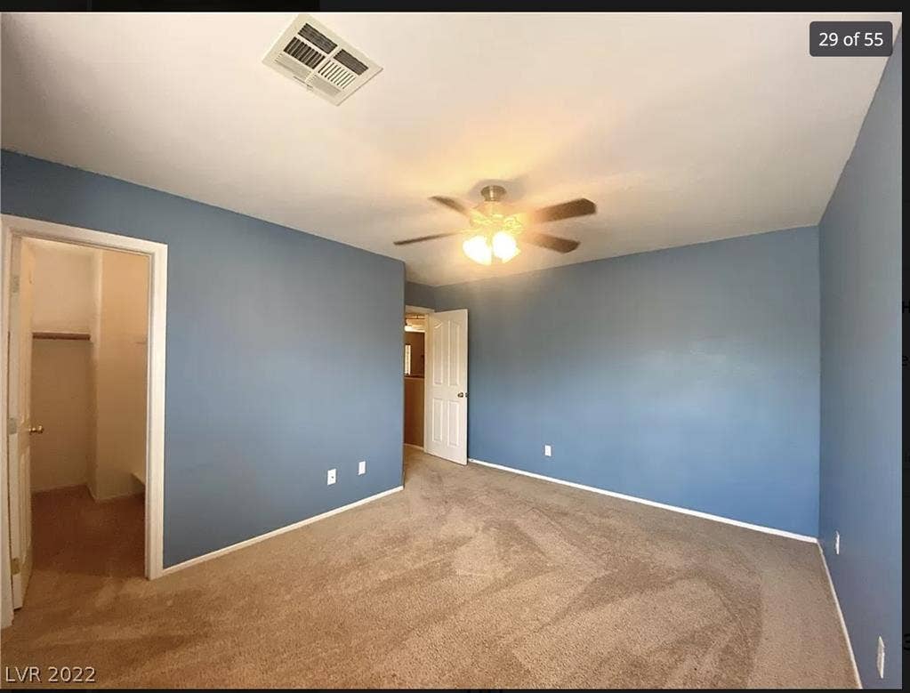 Looking for a roommate