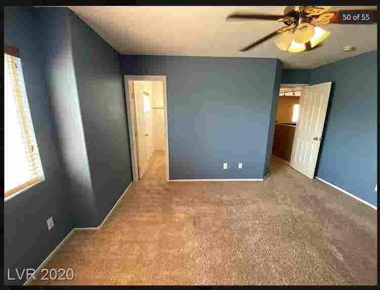 Looking for a roommate