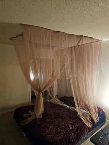 Room for rent with washer and dryer