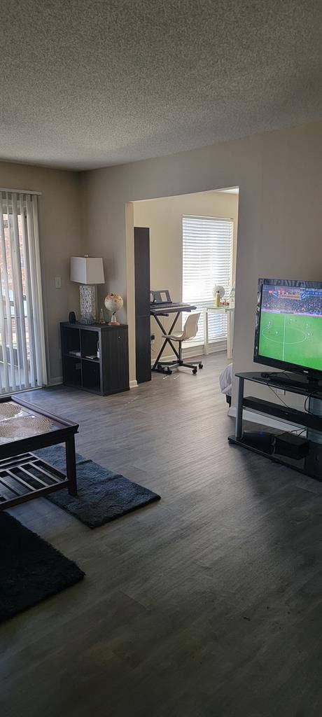 Looking for a roommate