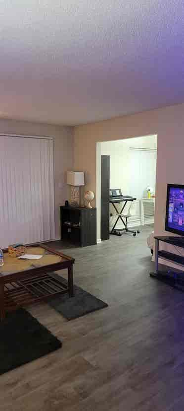 Looking for a roommate