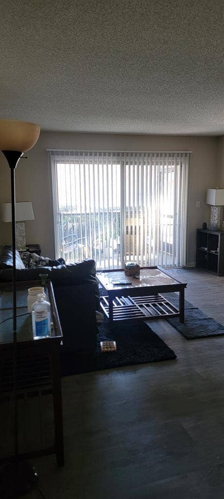 Looking for a roommate