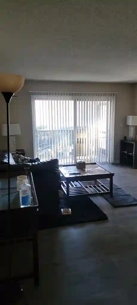 Looking for a roommate