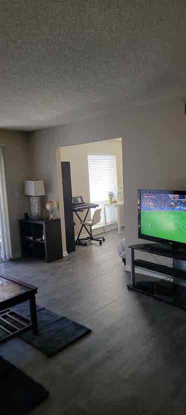Looking for a roommate