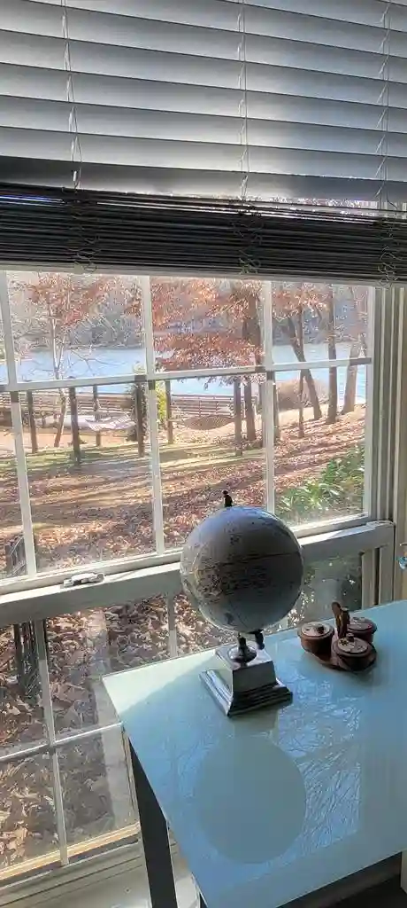 Looking for a roommate